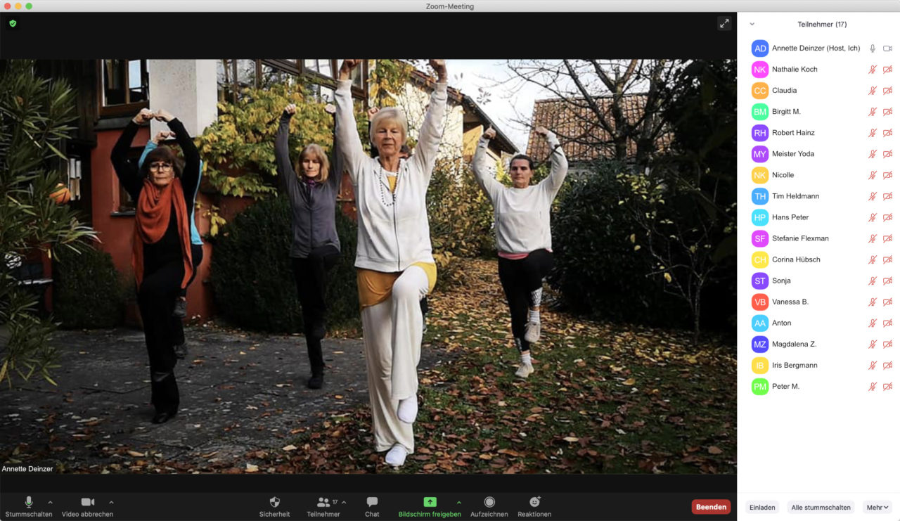 Qi Gong Online Live Unterricht ☯